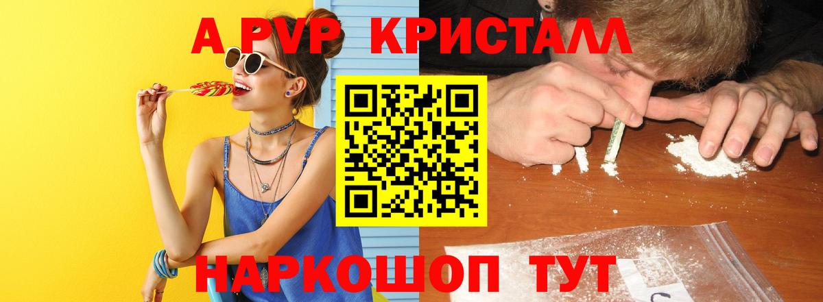 А ПВП СК КРИС Алейск