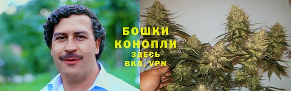 мдпв Сафоново